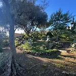 Authentique Le Cactus Entierement Renovee Climatisee Proche Des Plages Du Centre Du Lavandou Et Du Supermarche * ボルム・レ・ミモザ