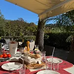 Authentique Le Cactus Entierement Renovee Climatisee Proche Des Plages Du Centre Du Lavandou Et Du Supermarche Βίλα