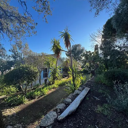 Authentique Le Cactus Entierement Renovee Climatisee Proche Des Plages Du Centre Du Lavandou Et Du Supermarche *