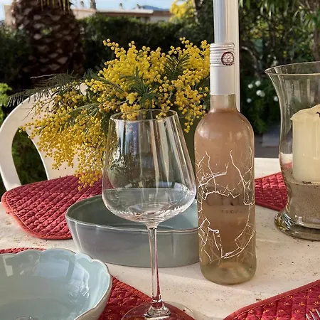 Authentique Le Cactus Entierement Renovee Climatisee Proche Des Plages Du Centre Du Lavandou Et Du Supermarche Villa *