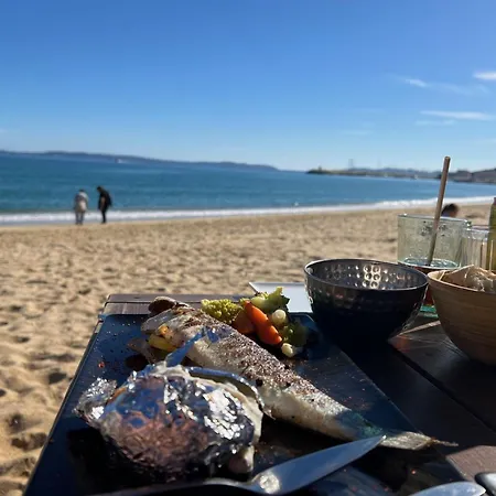 Authentique Le Cactus Entierement Renovee Climatisee Proche Des Plages Du Centre Du Lavandou Et Du Supermarche Vila Bormes-les-Mimosas
