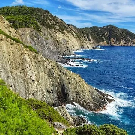 Villa Authentique Le Cactus Entierement Renovee Climatisee Proche Des Plages Du Centre Du Lavandou Et Du Supermarche