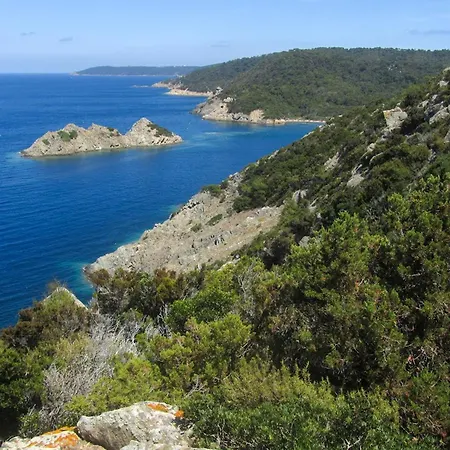 Villa Authentique Le Cactus Entierement Renovee Climatisee Proche Des Plages Du Centre Du Lavandou Et Du Supermarche