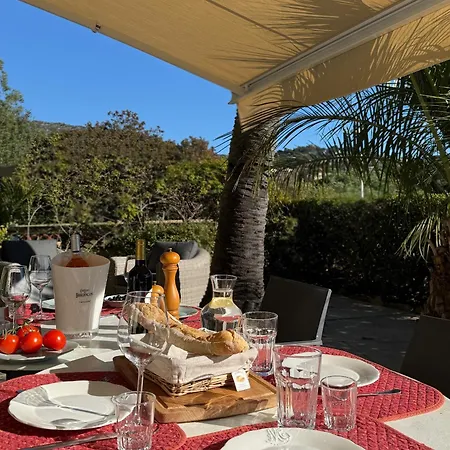 Authentique Le Cactus Entierement Renovee Climatisee Proche Des Plages Du Centre Du Lavandou Et Du Supermarche Villa