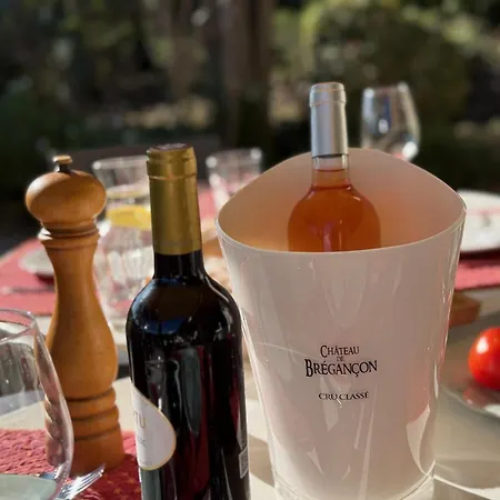 Villa Authentique Le Cactus Entierement Renovee Climatisee Proche Des Plages Du Centre Du Lavandou Et Du Supermarche