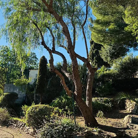 Authentique Le Cactus Entierement Renovee Climatisee Proche Des Plages Du Centre Du Lavandou Et Du Supermarche *